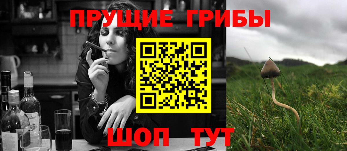 Псилоцибиновые грибы Psilocybe Воскресенск